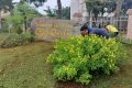 CBGVNV Trường THPT Đắk Song tích cực lao động chỉnh trang trường học trong điều kiện thời tiết mưa